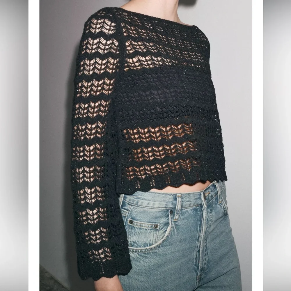 ZARA POINTELLE KNIT CROP TOP